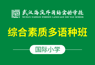 武漢海外學(xué)校國際小學(xué)（綜合素質(zhì)多語種班）圖片