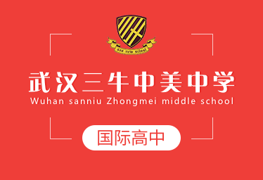 武漢三牛中美中學國際高中圖片