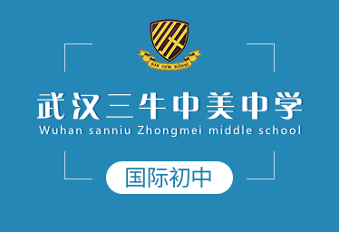 武漢三牛中美中學(xué)國際初中圖片