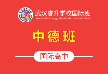 武漢睿升學校國際高中（中德班）簡章圖片