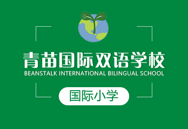 青苗國際雙語學(xué)校國際小學(xué)圖片