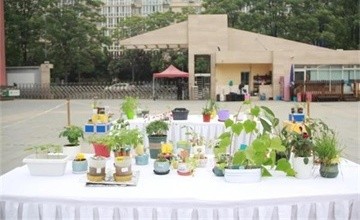北京力邁中美國際學(xué)?！傲~杯”中小學(xué)植物栽培大賽前方報(bào)道圖片