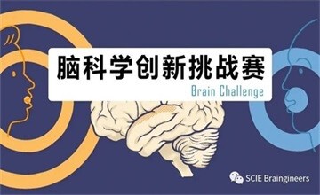 喜報(bào)：Brain Challenge二等獎！深圳國際交流學(xué)院最強(qiáng)大腦組合圖片