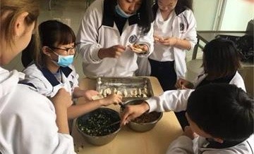 北京新橋外國語高中學校包餃子活動圖片