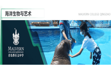 青島墨爾文中學(xué)：夏天，把一切都變成海！圖片