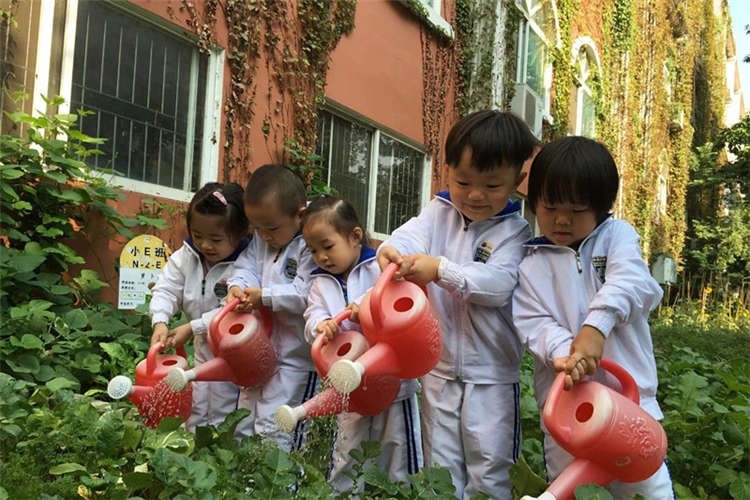 深圳市寶安區(qū)中英公學(xué)種植園