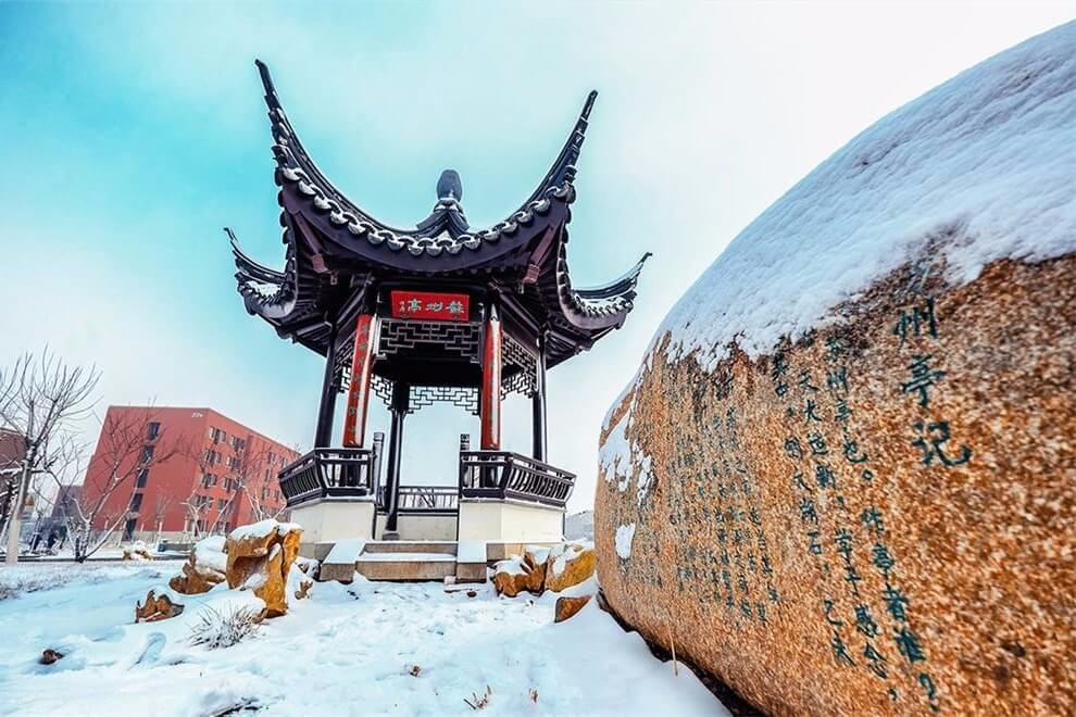 天津大學(xué)A-Level國(guó)際教育中心冬季景觀圖片1