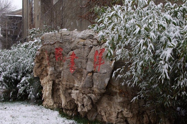 天津大學(xué)A-Level國(guó)際教育中心冬季景觀圖片4
