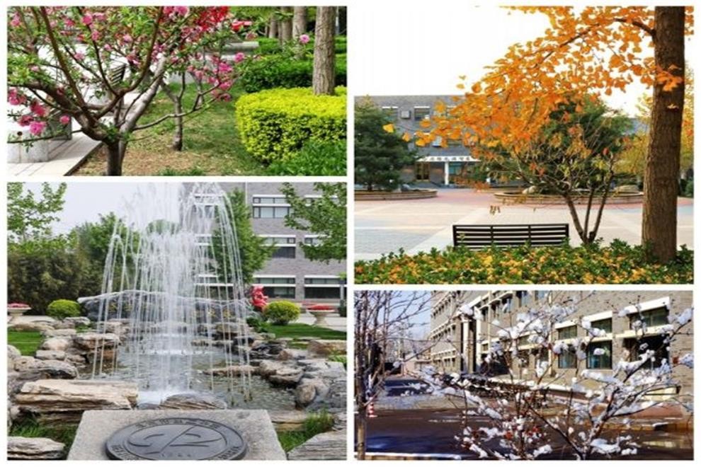 北京市第二中學(xué)國際部校園風(fēng)光02
