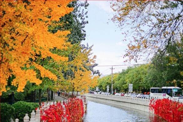 北京一零一中學(xué)國(guó)際班秋季美景圖集