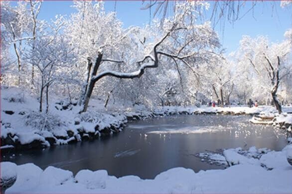 北京一零一中學(xué)國(guó)際班冬季美景圖集