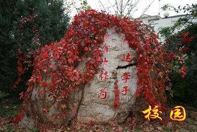 北京市師達中學(xué)校園石雕圖片04