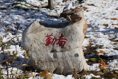 北京市師達中學(xué)校園石雕圖片05