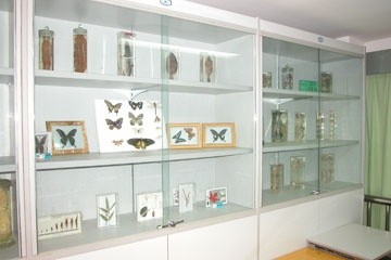 北京市師達(dá)中學(xué)教學(xué)設(shè)施圖片06