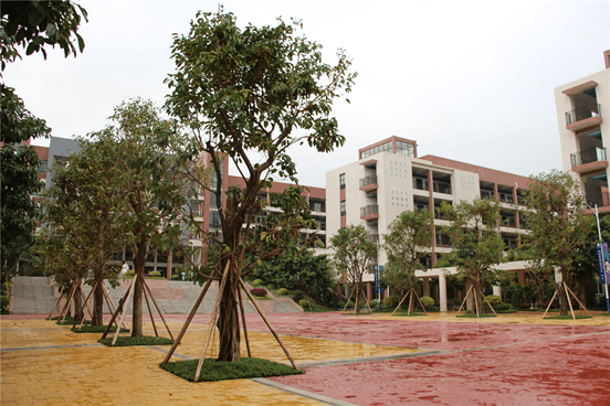 碧桂園十里銀灘學(xué)校校園環(huán)境圖片05