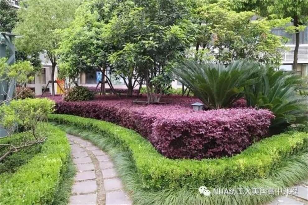 上海新虹橋中學(xué)NHA國際高中校園環(huán)境圖片03