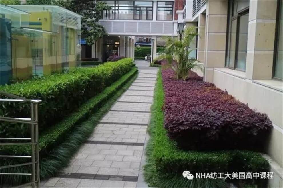 上海新虹橋中學(xué)NHA國際高中校園環(huán)境圖片05