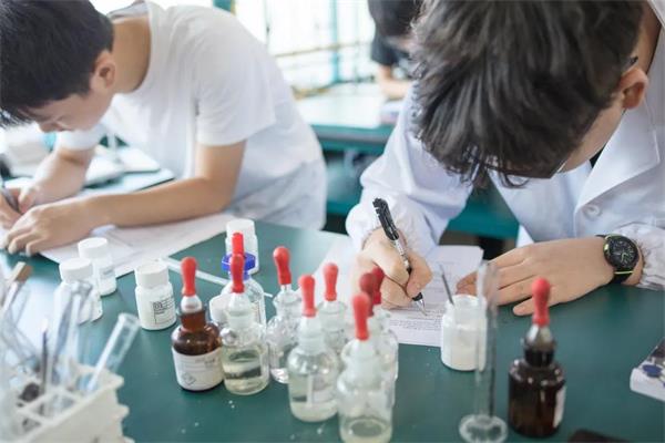 深國交學(xué)生們?cè)谡n堂做實(shí)驗(yàn)圖片
