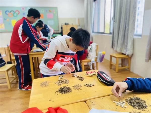 寧鄉(xiāng)市碧桂園學(xué)校六年級(jí)“中醫(yī)與健康”UOI探究活動(dòng)圖片4