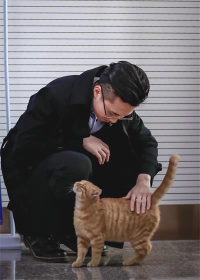 攝影作品圖片