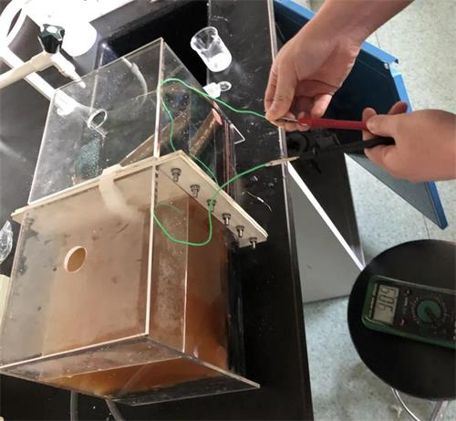 生物燃料電池裝置圖片